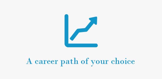 A career path of your choice
