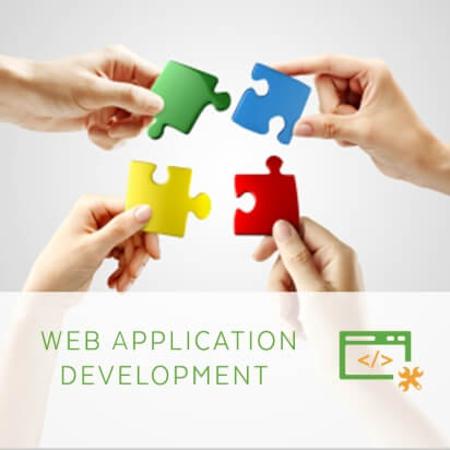 Web Application Development in Delhi