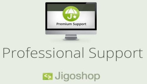 Jigoshop Website Development in Surat, Best SEO Company in Surat