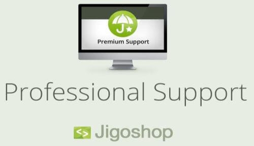 Jigoshop Website Development in Lowell, Best SEO Company in Lowell