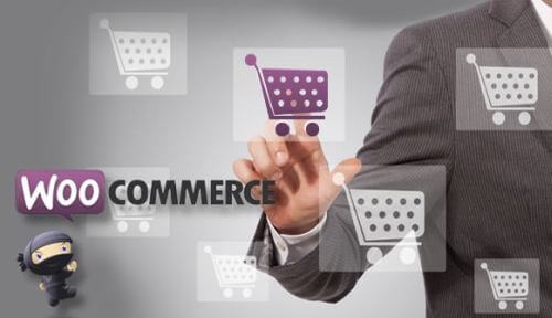 WooCommerce Website Development in Kutch, Best SEO Company in Kutch