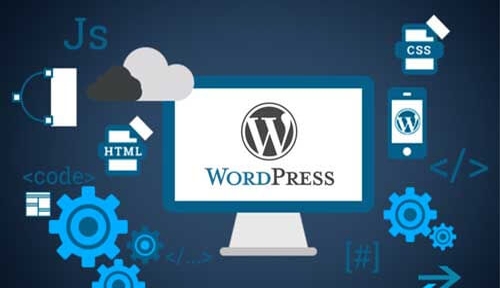 Wordpress Website Development in Somnath, Best SEO Company in Somnath